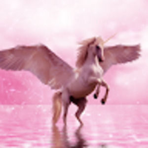 Meet your Posher, Jayden